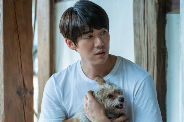 Genuine man Yoo Yeon-seok, golden retriever himself