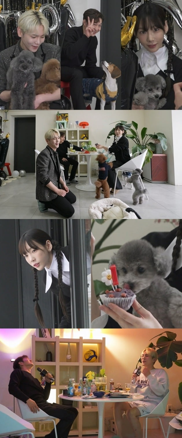 Taeyeon, key to appearing on 'I Live Alone', mentally 'out' about dog care