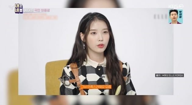 IU, Song Hye-kyo, and BTS's Jung Kook are also among the celebrities who are 'big fans'