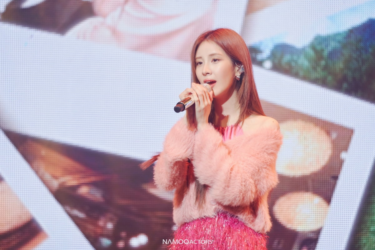Seohyun successfully completes her first domestic fan meeting in 5 years