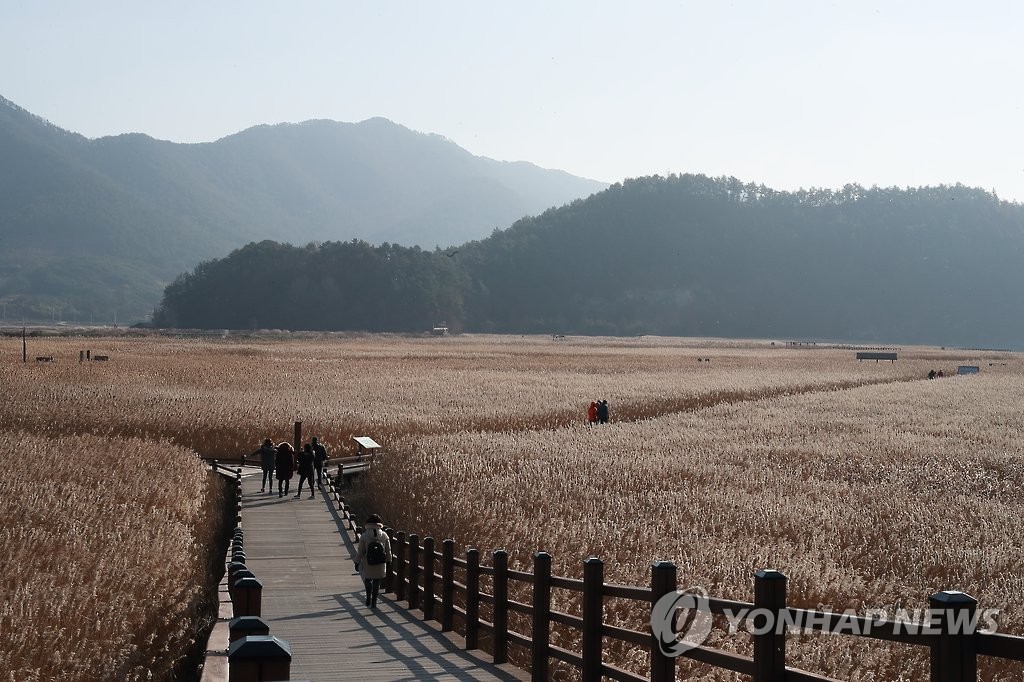 순천만갈대축제 11월4∼5일 열려