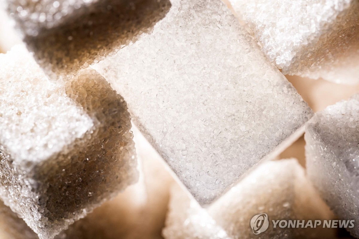 세계 설탕 가격 2개월 연속 상승…13년 만에 최고치