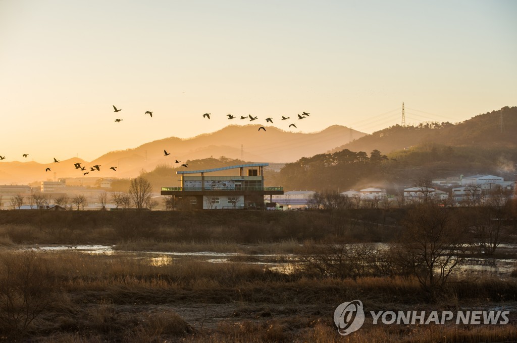 '가을밤 별을 품다'…김해시, 14일 화포천서 특별 천체관측 행사