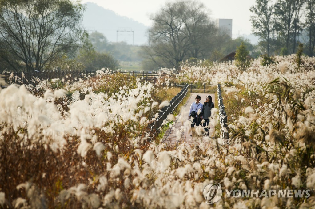 '가을밤 별을 품다'…김해시, 14일 화포천서 특별 천체관측 행사