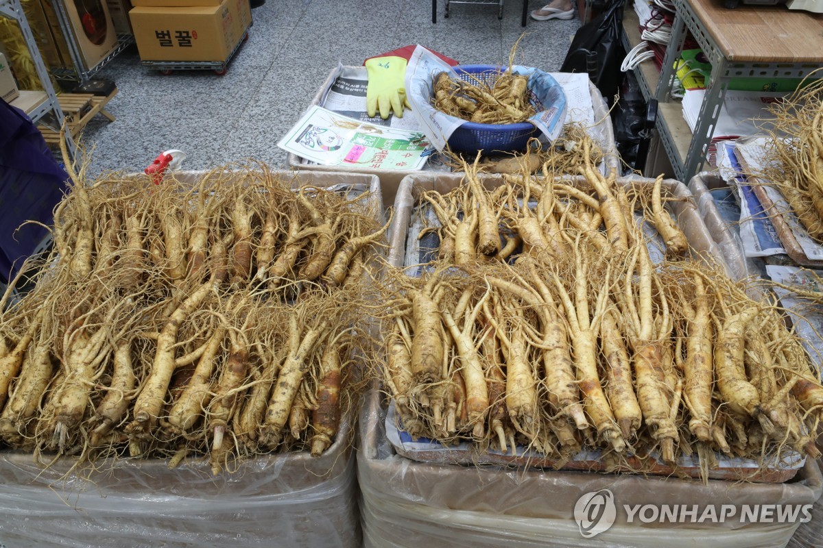 증평 인삼골축제·음성 설성문화제 막 올라…볼거리 '풍성'