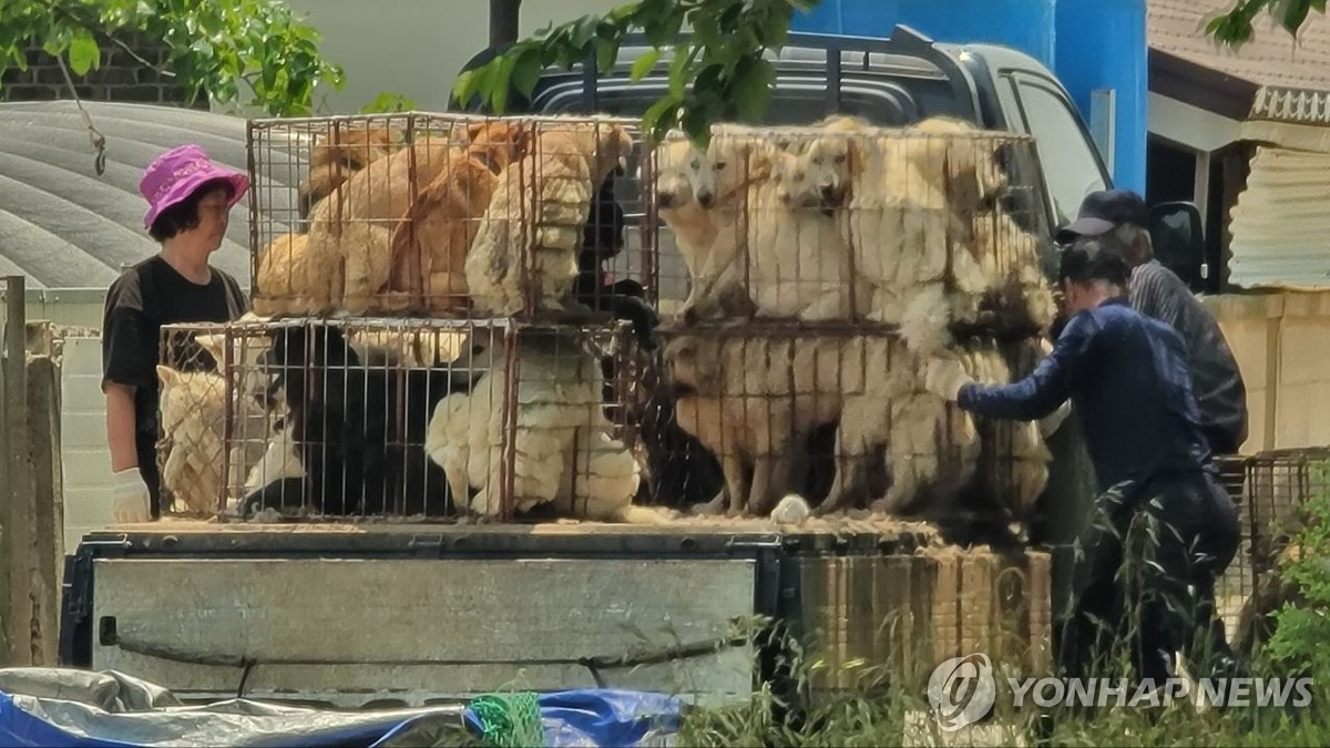 [삶] "15년은 살 수 있는데, 열심히 먹고 1살에 죽으라 하네요"