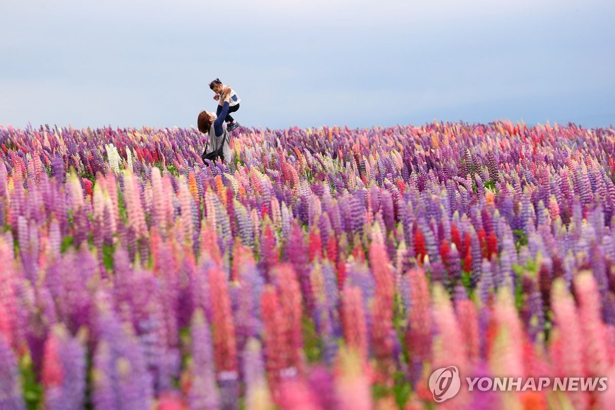 아이 홀로 두면 학대?…日지방의회, 부모들 반대에 조례안 철회