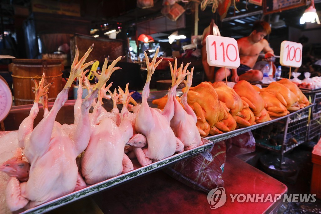 말레이, 닭고기 가격상한제 폐지…"공급·가격 안정 상황 반영"