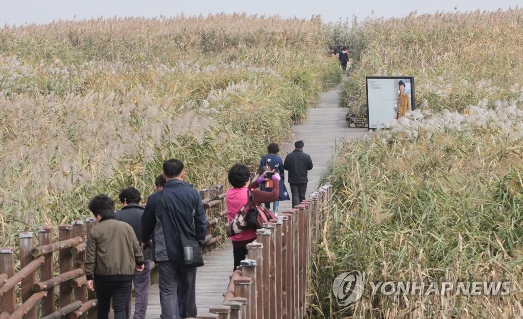 서천 신성리 갈대숲 관광지 지정 청신호…농림부 조건부 승인