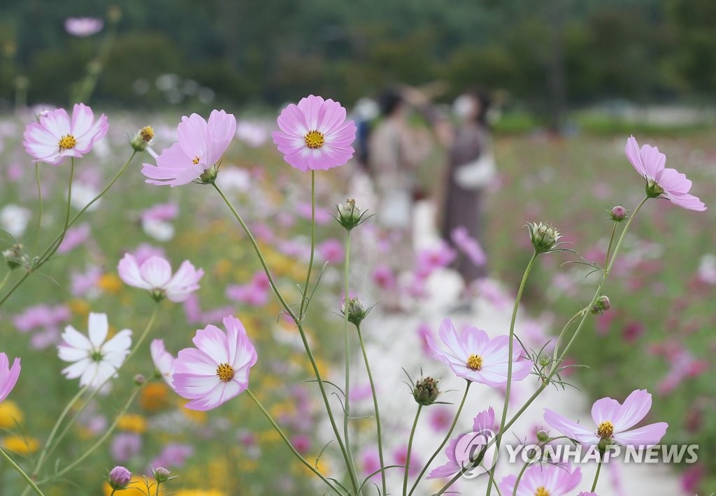 태화강 국가정원 가을축제 27∼29일 개최…체험 행사 다양