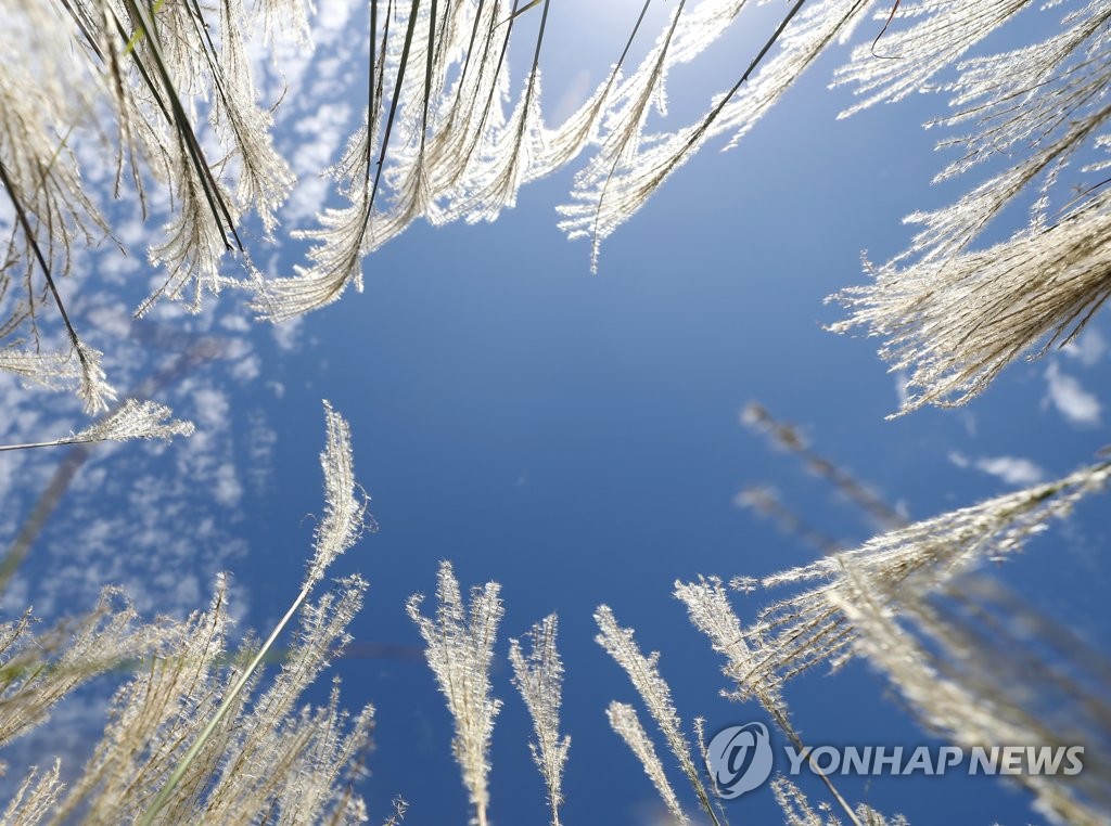 부산·울산·경남 맑다가 오후부터 구름…낮 최고 20∼22도