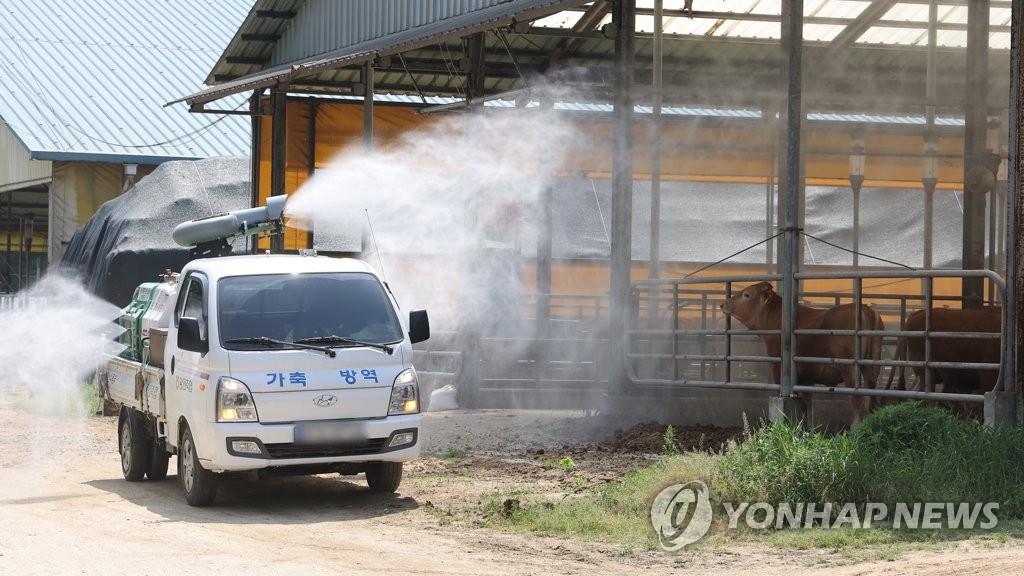 구제역부터 소 럼피스킨병까지…올해 가축전염병 잇따라