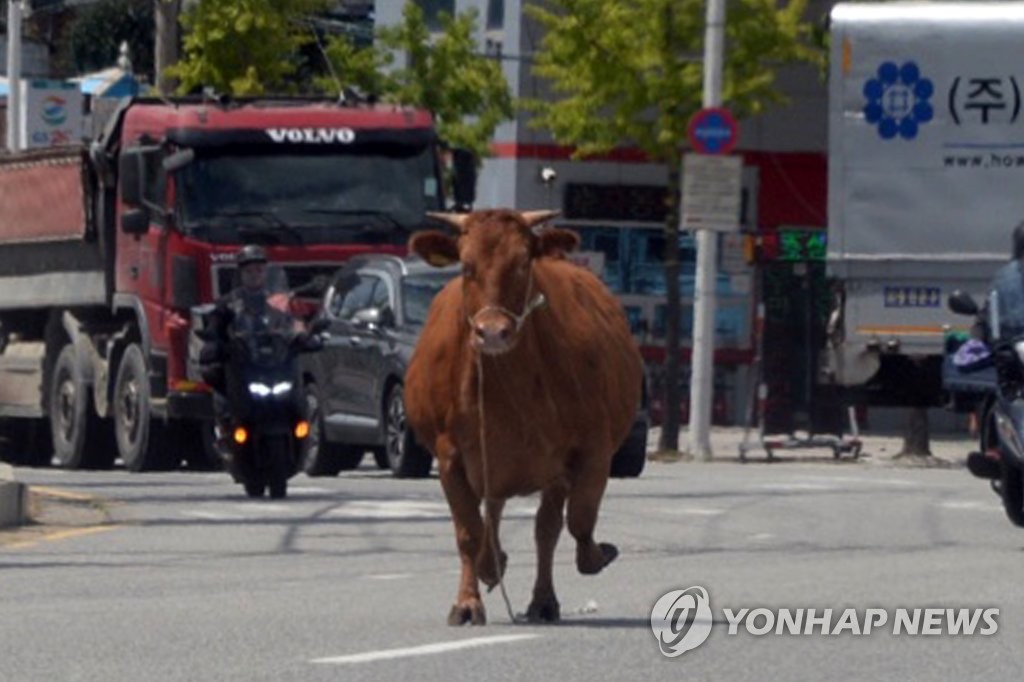 [삶] "15년은 살 수 있는데, 열심히 먹고 1살에 죽으라 하네요"