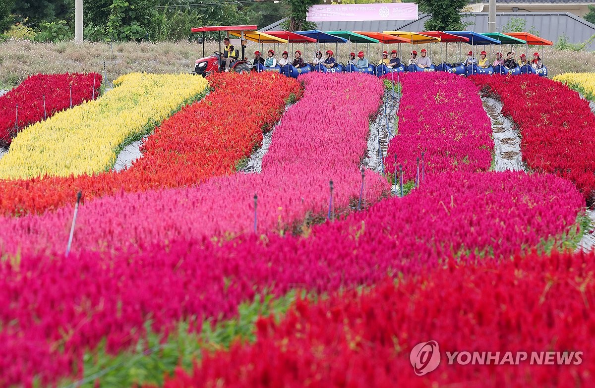 [지방소멸에 맞서다]㉔ 꽃길 따라 오세요…'1천만 관광 르네상스' 꿈꾸는 철원