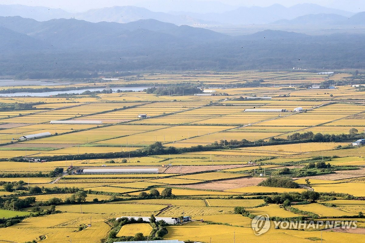 [지방소멸에 맞서다]㉔ 꽃길 따라 오세요…'1천만 관광 르네상스' 꿈꾸는 철원