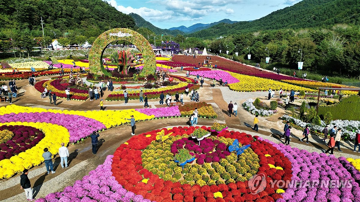 가을꽃·억새 물결에 취한 나들이객…전국 축제장 활기