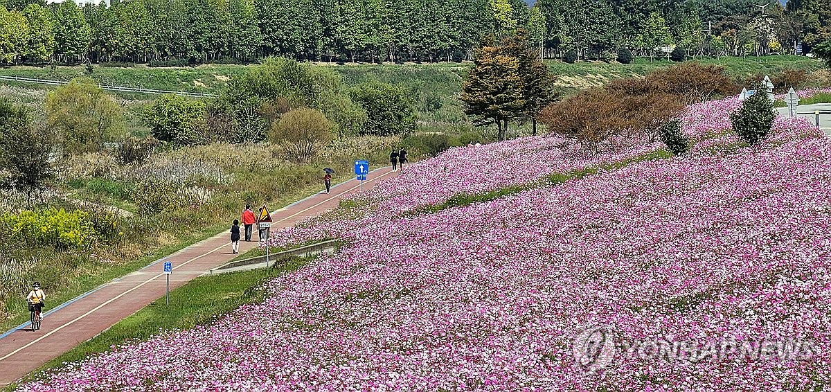 전국 맑다가 밤부터 구름 많아져…낮 최고기온 21∼24도