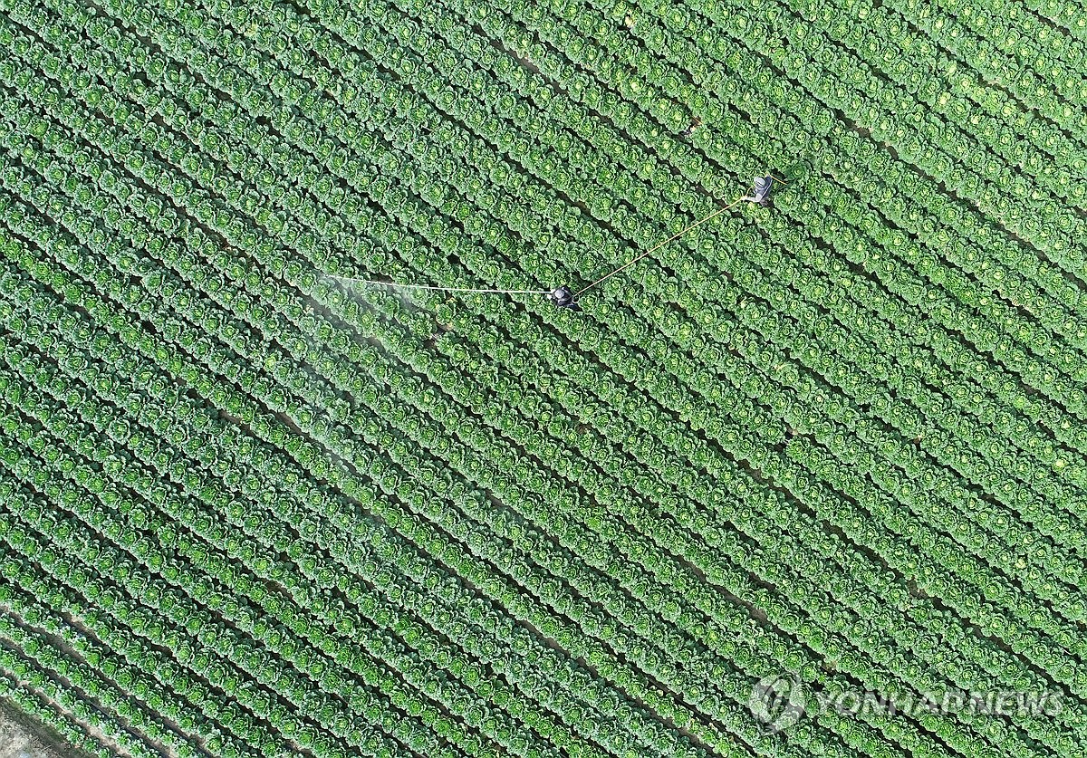 맑고 일교차 큰 전형적인 가을날…낮 최고 21~24도