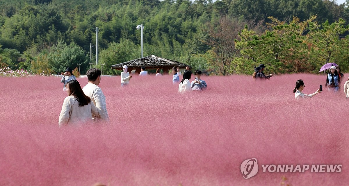 내일 내륙 중심 아침기온 5도 안팎…일교차 10∼15도