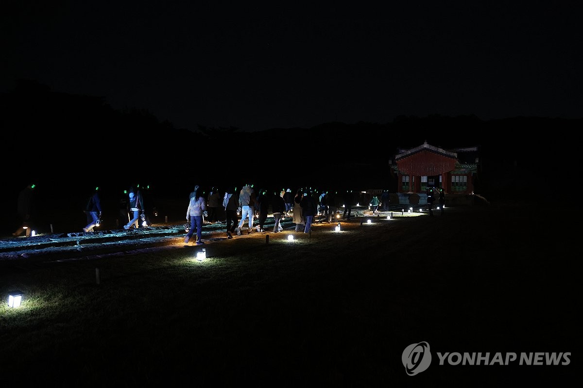 고양이 '묘묘' 따라 떠난 특별한 여행…가을밤 아래 빛난 서오릉