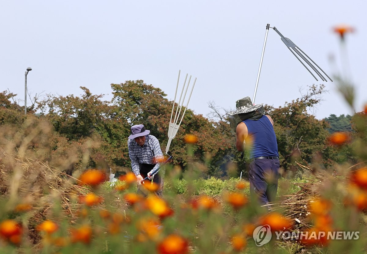 [내일날씨] 일요일도 아침 기온 낮고 강한 바람 불어 추워요