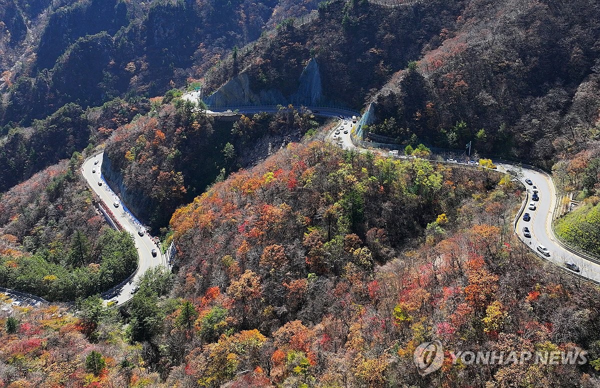 오색단풍 유명산에 행락 인파…국화·전통주 가을 축제장도 북적