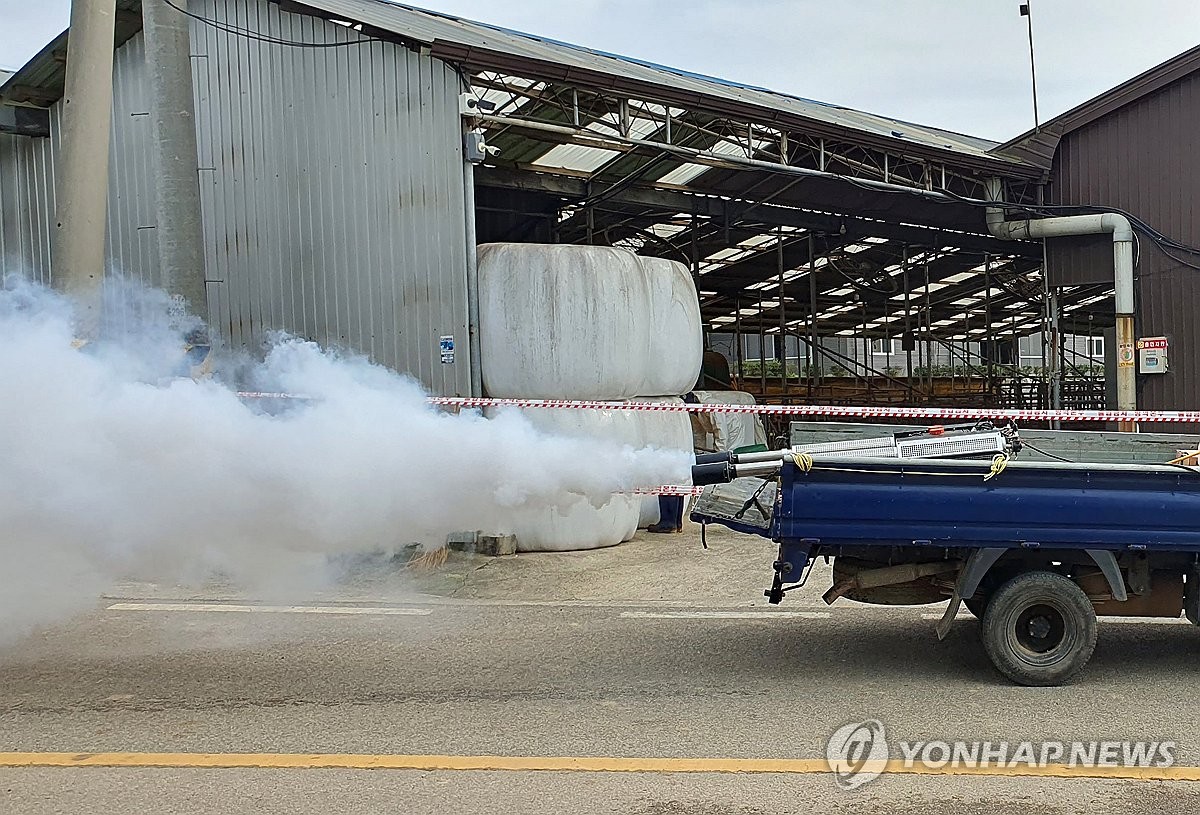 전남도, 소 럼피스킨병 유입 차단 총력