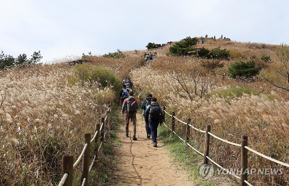 오전까지 전국 내륙 짙은 안개…수도권 오후 한때 빗방울