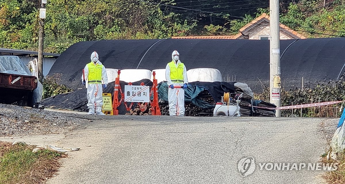 충북도 럼피스킨병 비상…방역대 긴급 백신접종