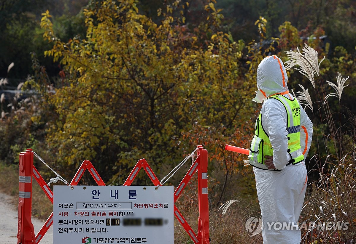 럼피스킨병 백신 400만마리분 도입…내달초까지 전국서 접종(종합)