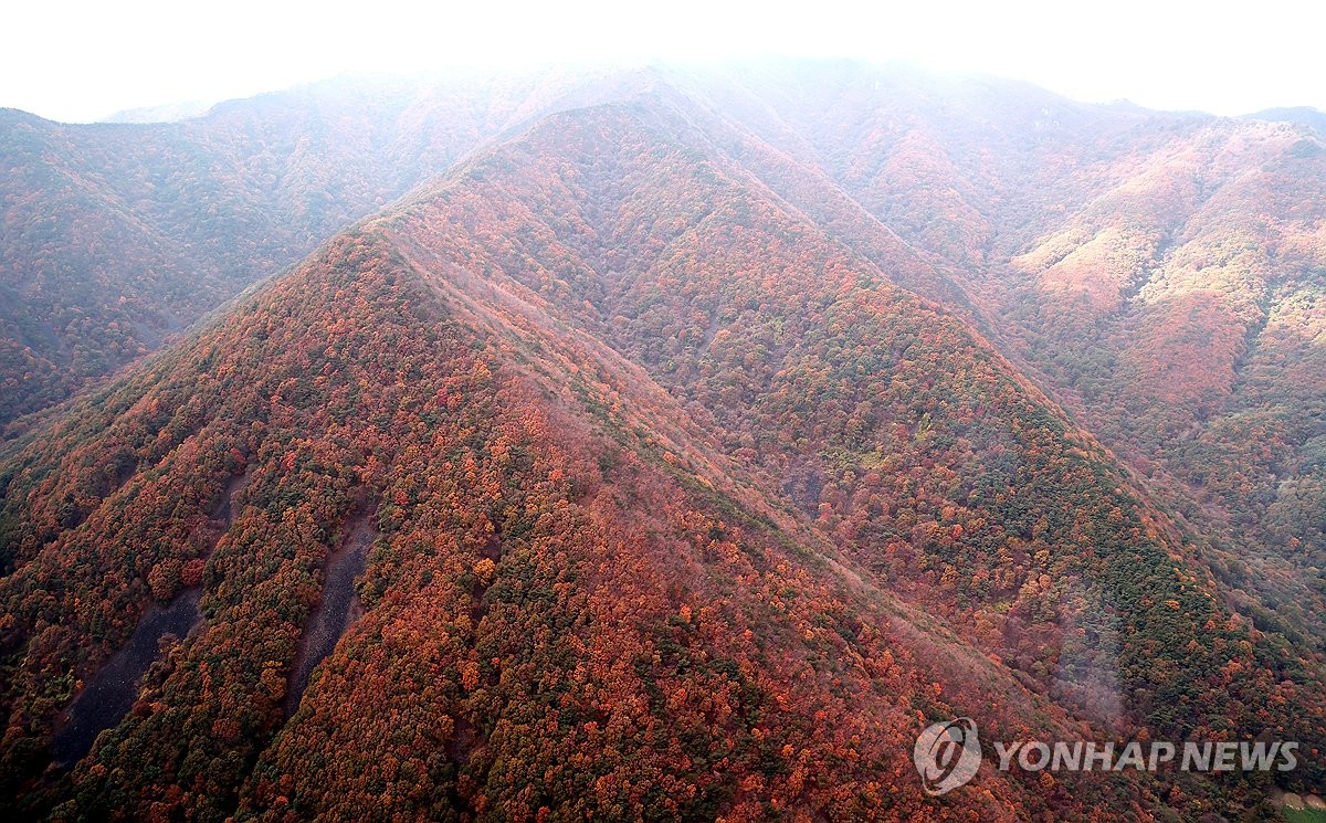 [날씨] 전국 구름 많다가 맑음…강원내륙 도로 살얼음