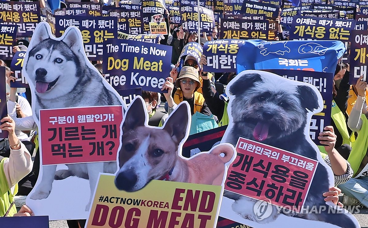 동물단체들 "개 식용 종식 특별법 처리해야…국격의 문제"