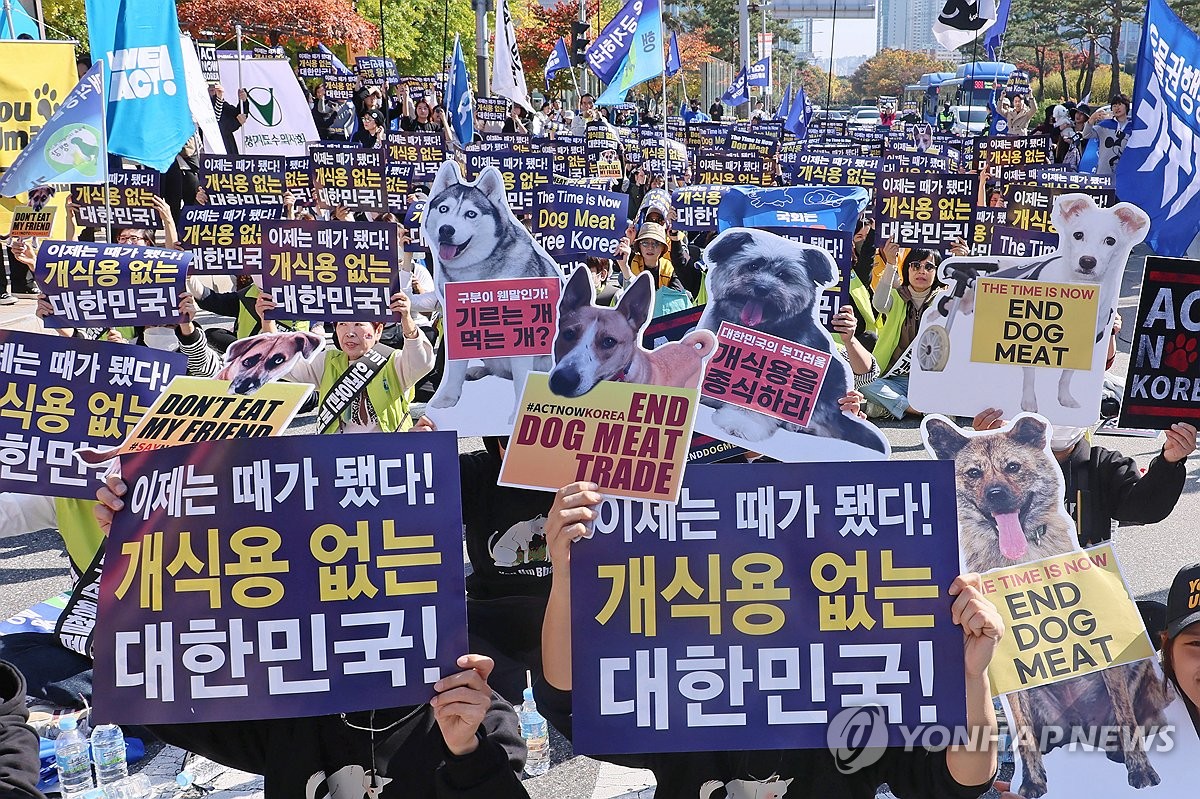 동물단체들 "개 식용 종식 특별법 처리해야…국격의 문제"