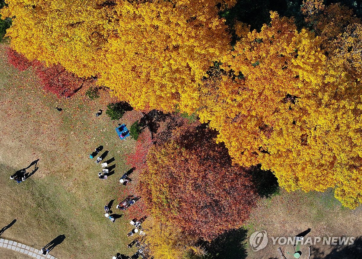 울긋불긋 물들어가는 가을…전국 관광명소·유원지서 햇살 만끽