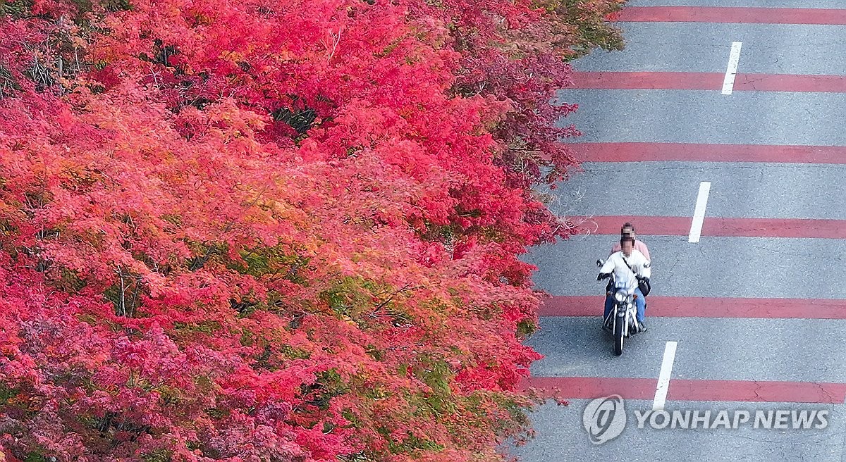 울긋불긋 물들어가는 가을…전국 관광명소·유원지서 햇살 만끽