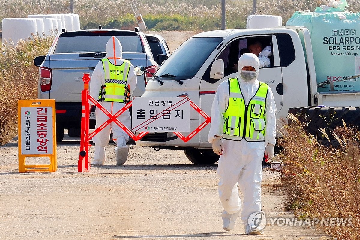 소 럼피스킨병 64건으로 늘어…고창·철원서도 발생