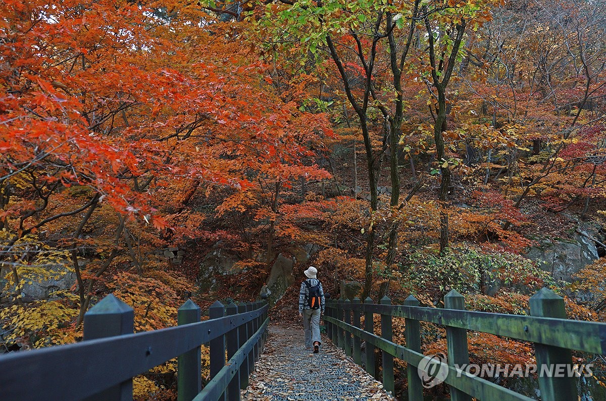 당분간 평년보다 포근, 내륙 짙은 아침안개…오늘 낮 19~24도