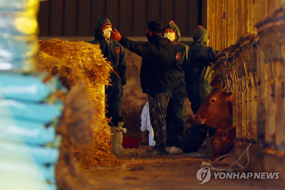 [현장] "청정, 무너졌다"…럼프스킨병 첫 확진에 전남 농가 발동동