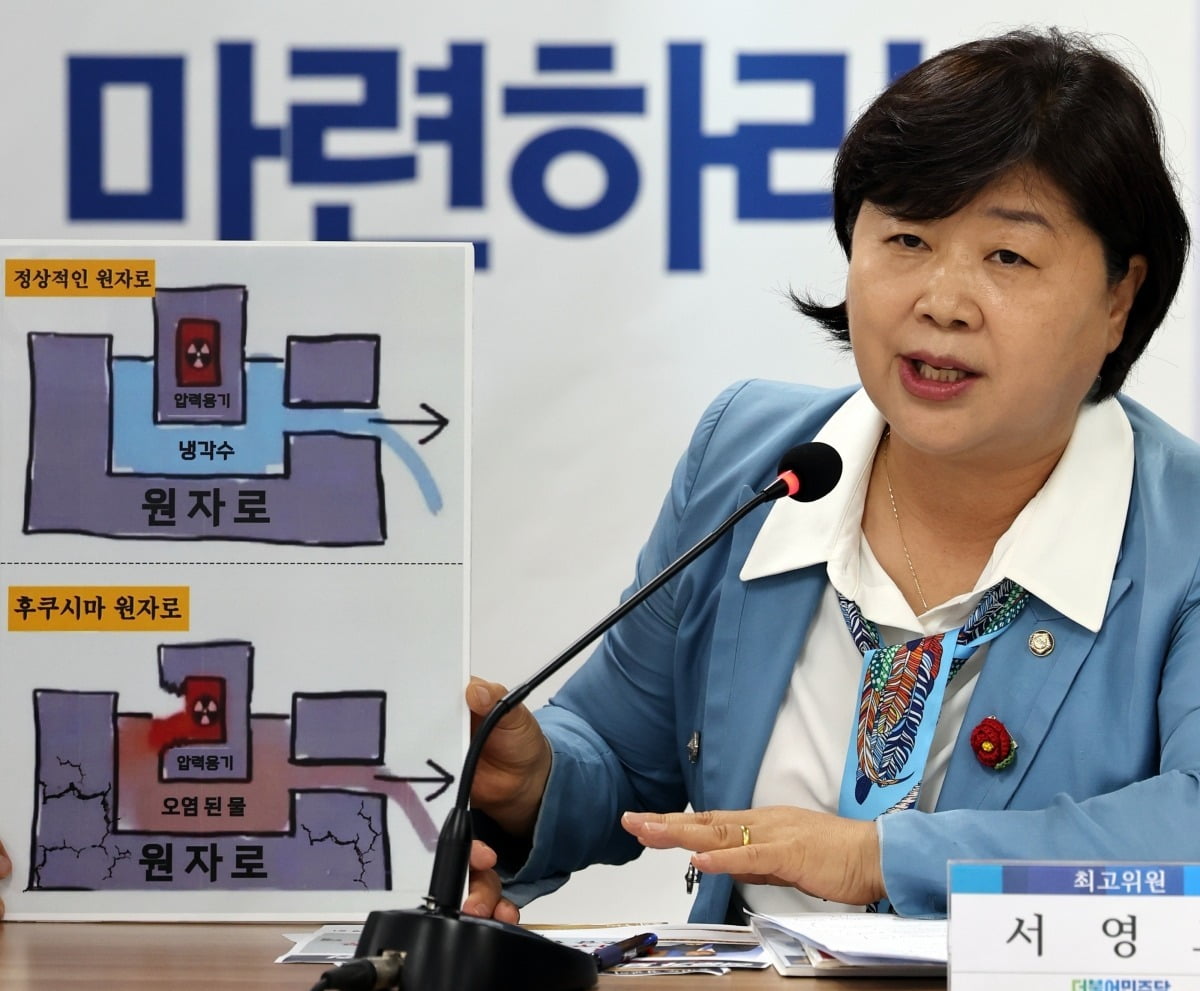 더불어민주당 서영교 최고위원. 연합뉴스