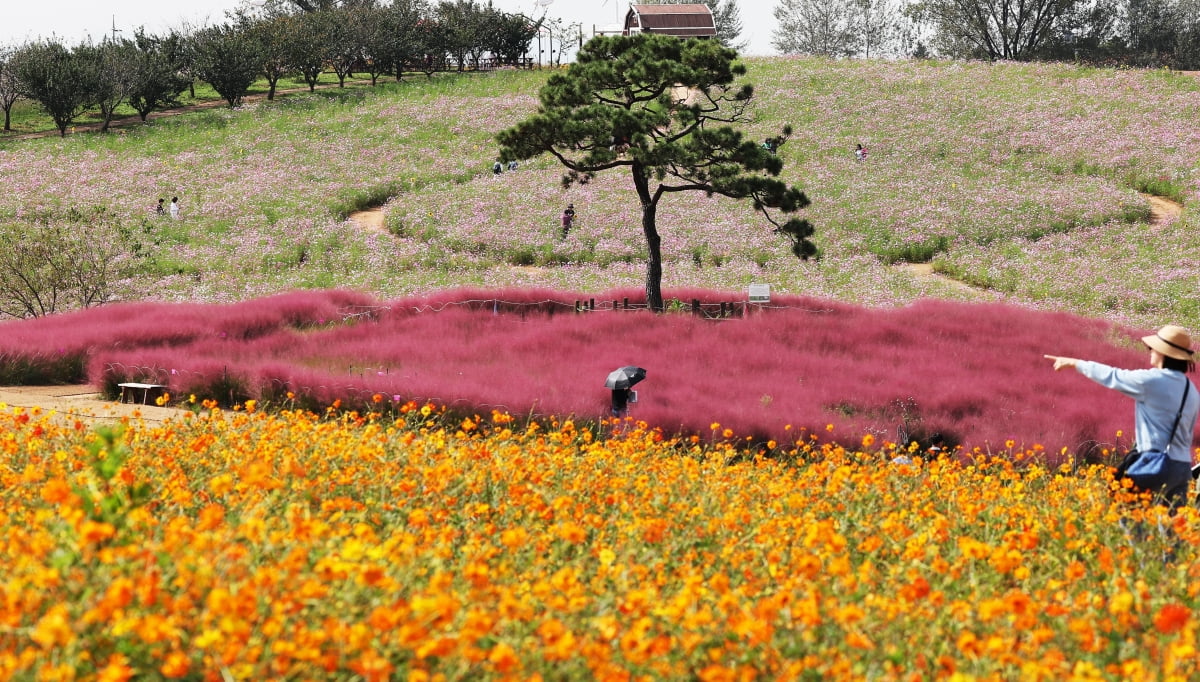 사진=연합뉴스