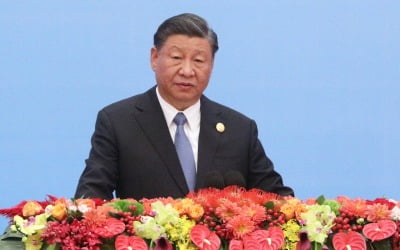 [속보] 시진핑, 이·팔 전쟁에 "조속한 휴전 최우선…통제불능 막아야"