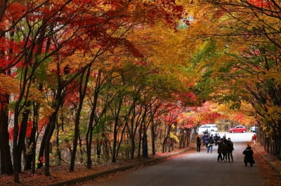 주말 전국 대체로 맑음…낮 최고 22도