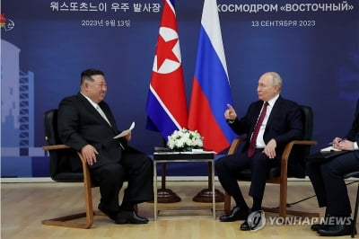 "푸틴 방북한다면 러시아의 '동북아 정치 귀환선언' 될 것"
