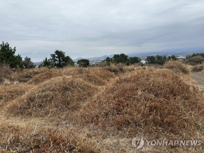 작년 '원인불명' 사망자 4만4천명…코로나 사망보다 많아