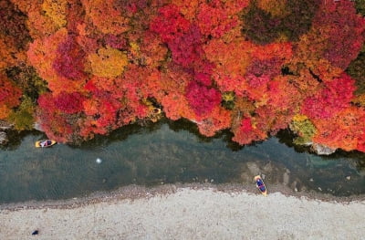 '진한 가을'…태백 철암단풍축제 10월 13∼15일 열려