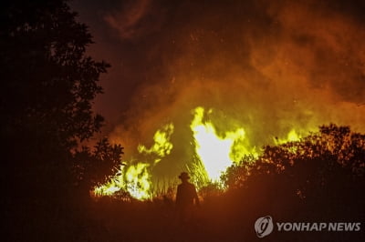인니 수마트라 산불 확산…'위험' 대기질에 원격수업·재택근무