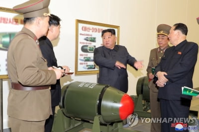 북 "미국이야말로 WMD 위협"…미 'WMD 대응전략'에 반발