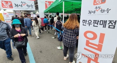 '횡성의 인심·한우의 자부심' 제19회 횡성한우축제 6일 개막