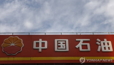 우크라 "시노펙 등 중국 국영기업들, 러에 전쟁자금 제공"