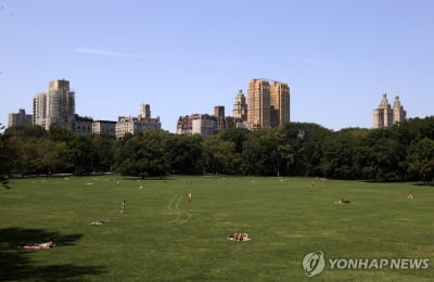 '빗속 공연'에 훼손…뉴욕 센트럴파크 내년 4월까지 잔디밭 폐쇄